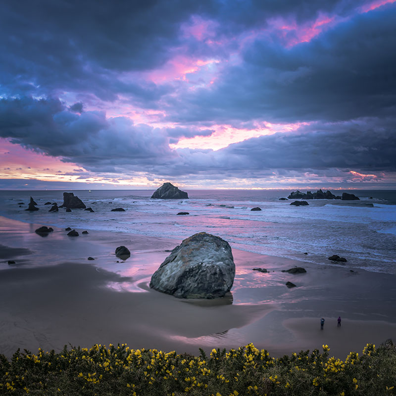 Stekelberg Endless Views #1