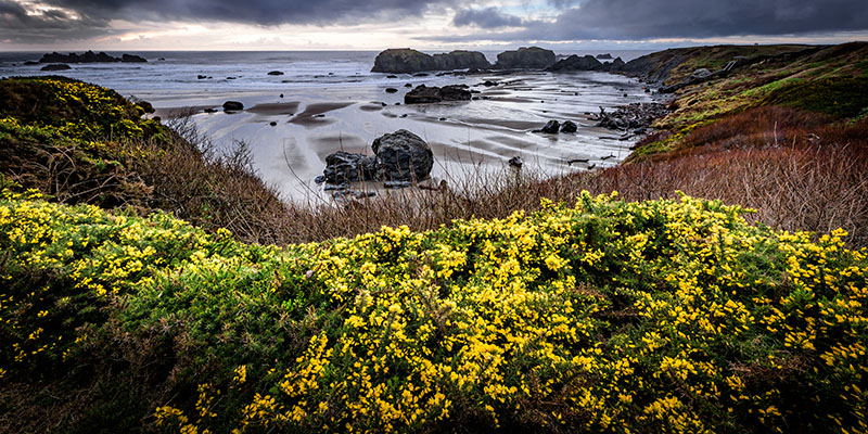 Stekelberg Endless Views #2