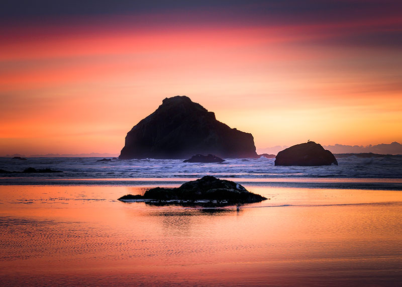 Stekelberg Endless Views #5