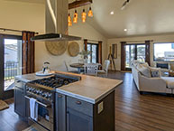 The Salty Sand Dollar